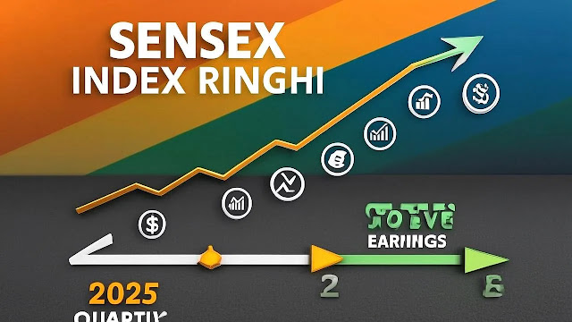 Infographic showing Sensex growth in 2025 due to positive earnings.”